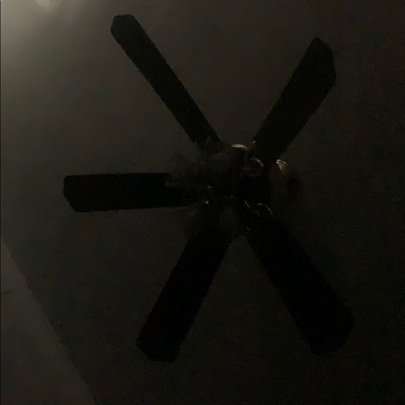 Meet your Posher, Fernando - Picture 1 of 1